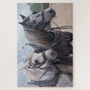  two percheron's  plowing Puzzle