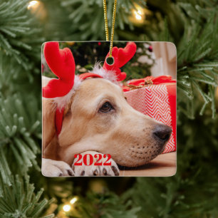 Two Pet Photo Christmas Year Ceramic Ornament