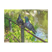 Two Pigeons. Roath Park Lake, Cardiff, Wales
