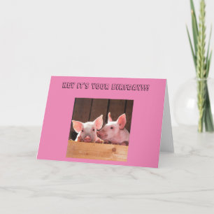 Two piglets happy birfday card