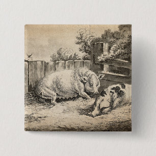 Two Pigs Lying in Straw in an Outdoor Pen 15 Cm Square Badge