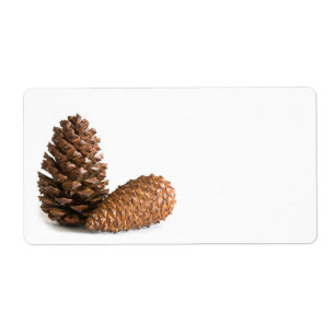 Two pinecones
