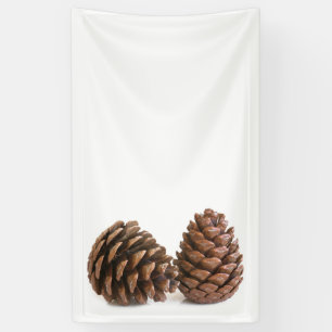 Two pinecones banner