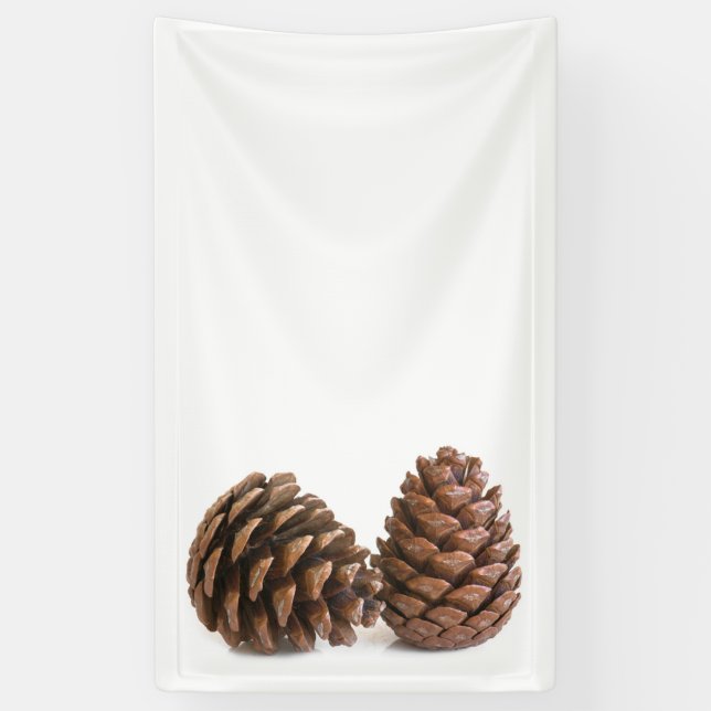 Two pinecones banner (Vertical)