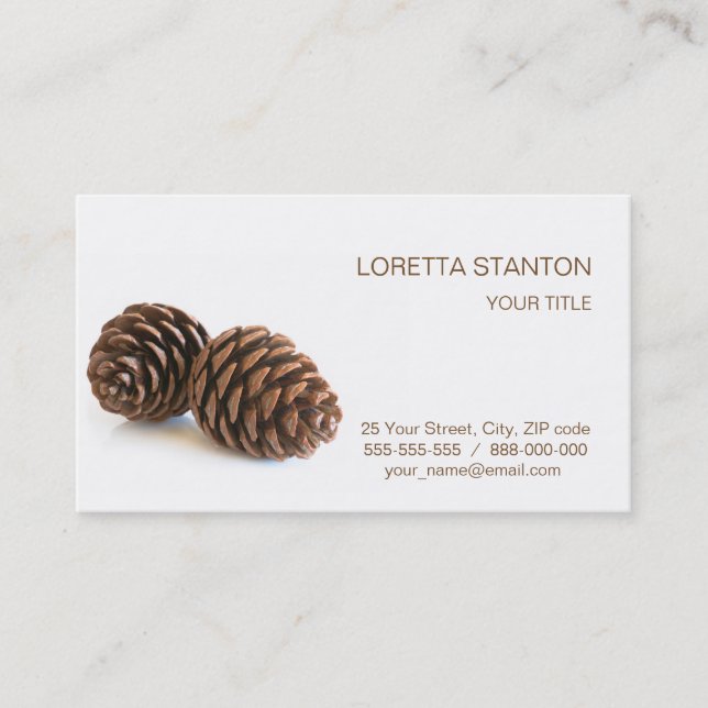 Two pinecones business card (Front)