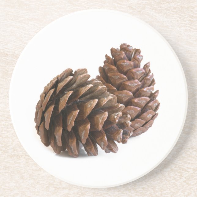 Two pinecones coaster (Front)