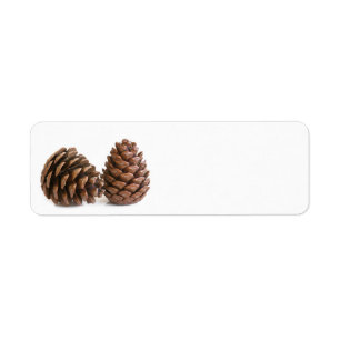 Two pinecones return address label