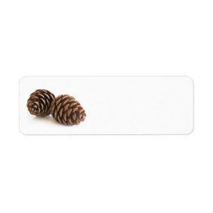 Two pinecones return address label