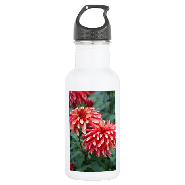 Two pink dahlia flowers 532 ml water bottle (Front)