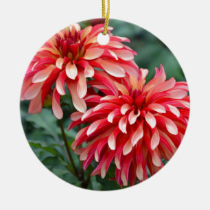 Two pink dahlia flowers ceramic ornament