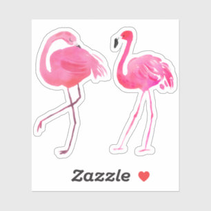 Two Pink Flamingos Illustration