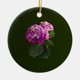 Two Pink Hydrangea Ceramic Ornament
