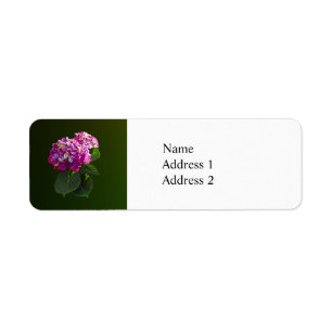 Two Pink Hydrangea Return Address Label