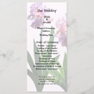 Two Pink Irises Program