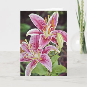 Two Pink Lilies Scripture Card Philippians 4:19