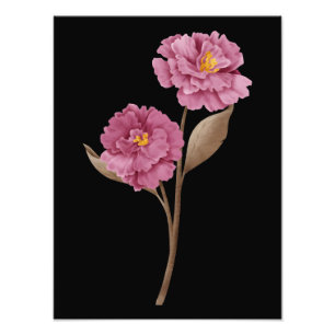 Two Pink Peonies Photo Print