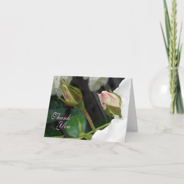 Two Pink Rose Buds Thank You Note Card (Front)
