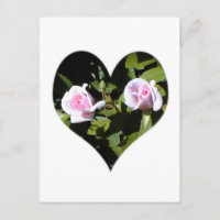 Two pink roses within a heart