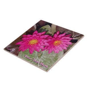 Two Pink Water Lilies Ceramic Tile