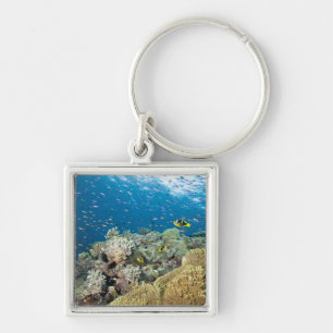 Two pinnacles starting in about 75 feet of water key ring
