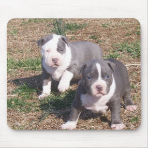 TWO PITBULL PUPS MOUSE PAD