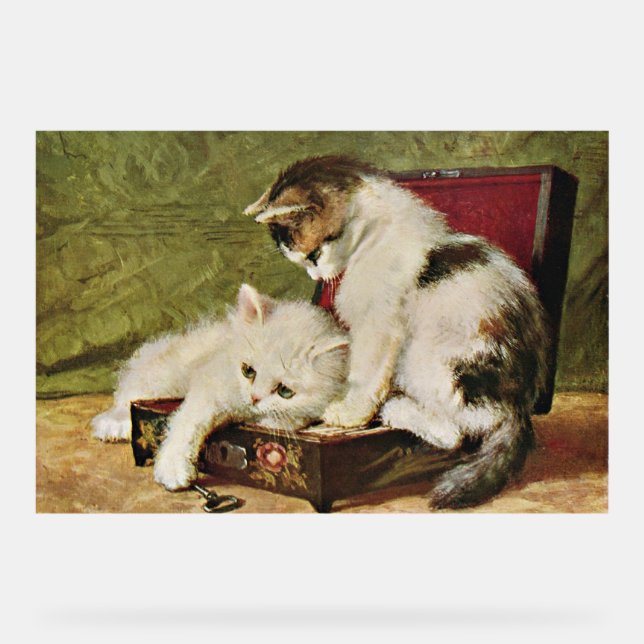 Two Playful Kittens Acrylic Sign (Front)