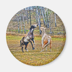 Two Playful Pinto Paint Horses Equine Art Design Magnet