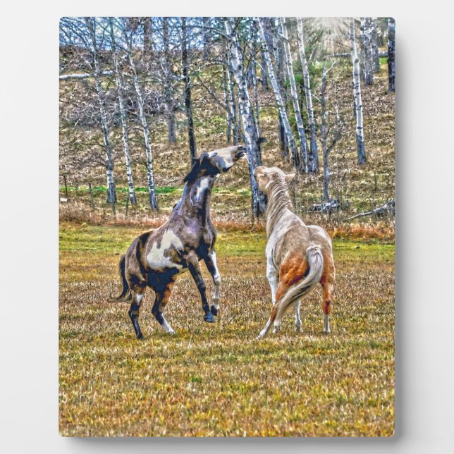 Two Playful Pinto Paint Horses Equine Art Design Plaque (Front)