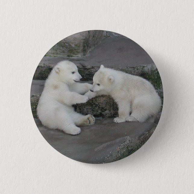 Two Polar Bear Cubs 6 Cm Round Badge (Front)