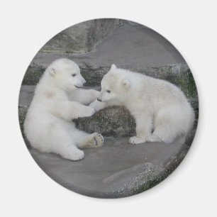 Two Polar bear cubs Magnet