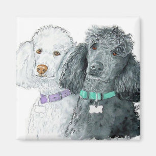 Two Poodles Magnet