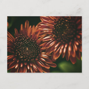 Two Postcard