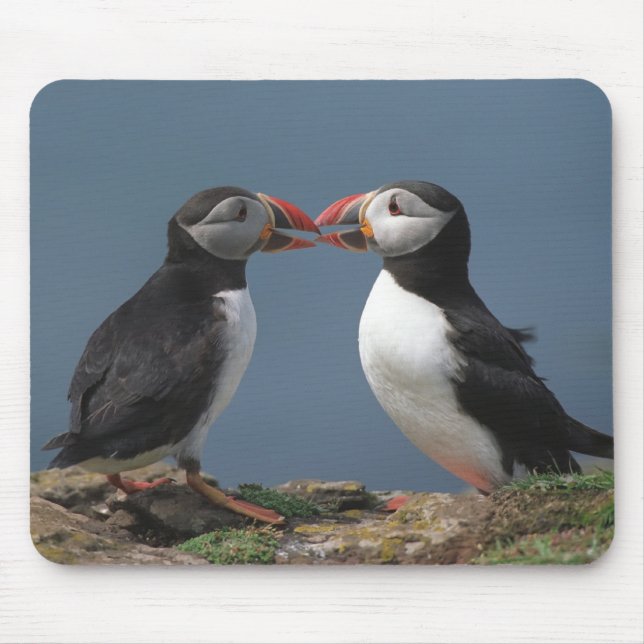 Two puffins mouse pad (Front)