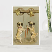 Two pug dogs ringing the Christmas bells