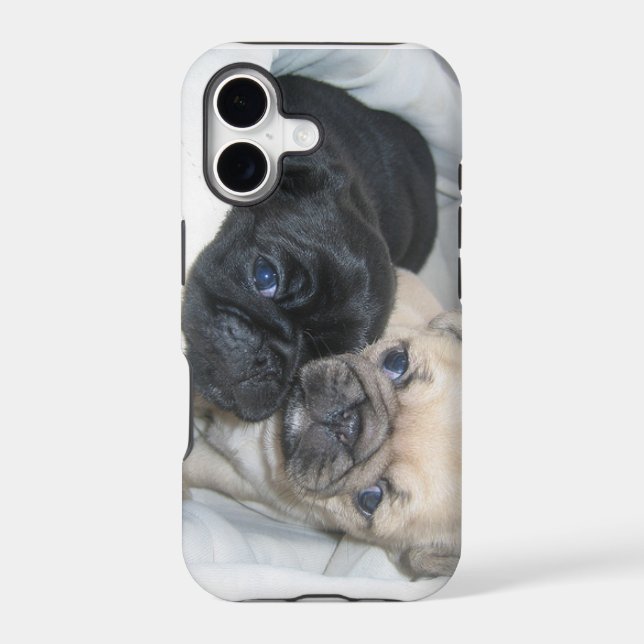 Two pugs case (Back)