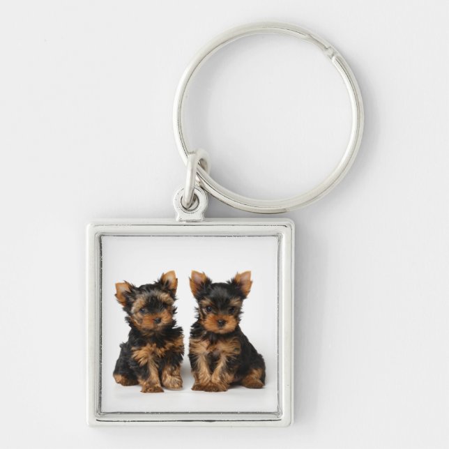Two puppies key ring (Front)
