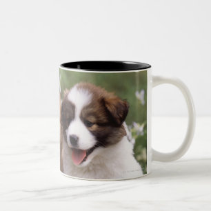Two puppies sitting together Two-Tone coffee mug