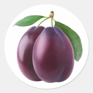Two purple plums classic round sticker