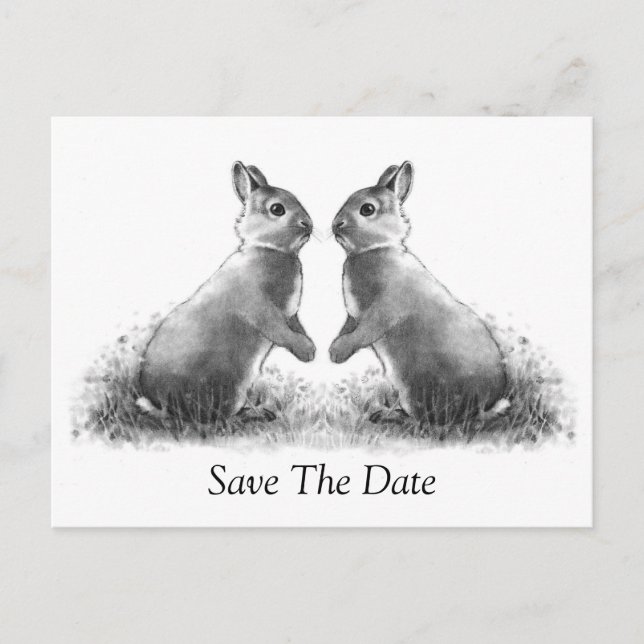 Two Rabbits (Bunnies): Save The Date Announcement Postcard (Front)