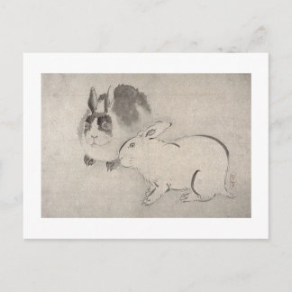 Two Rabbits in Black and White Postcard