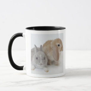 Two rabbits.Netherland Dwarf and Holland Lop. Mug