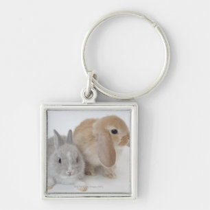 Two Rabbits   Netherland Dwarf & Holland Lop Key Ring