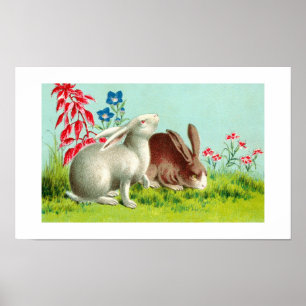Two rabbits poster