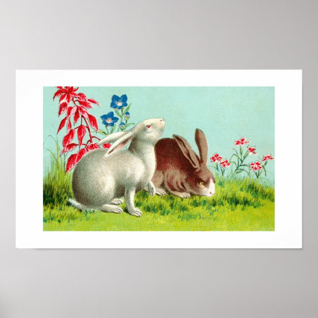 Two rabbits poster (Front)