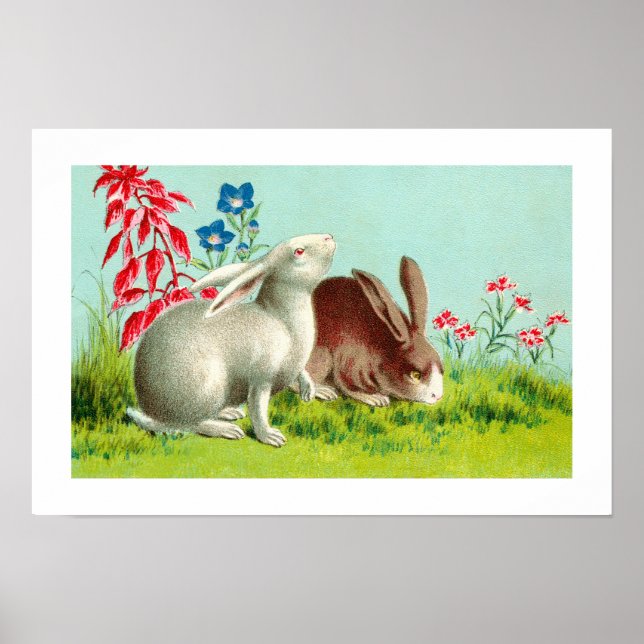 Two rabbits poster (Front)