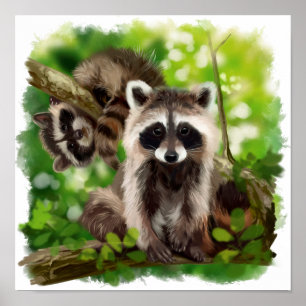 Two raccoons are sitting on the branches of a tree poster