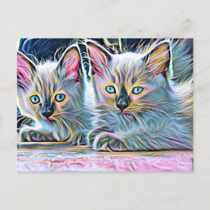 Two ragdoll kittens postcard