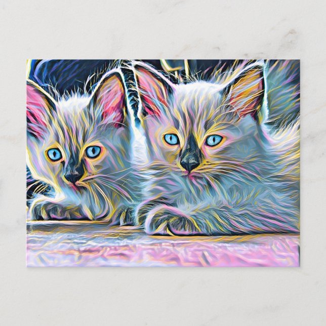 Two ragdoll kittens postcard (Front)