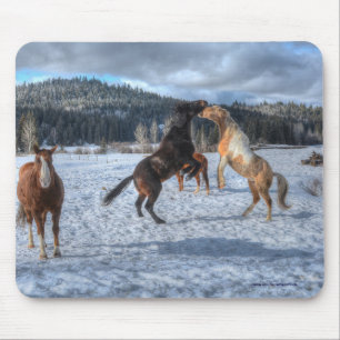 Two Ranch Horses Playfighting in Winter Snow IV Mouse Pad