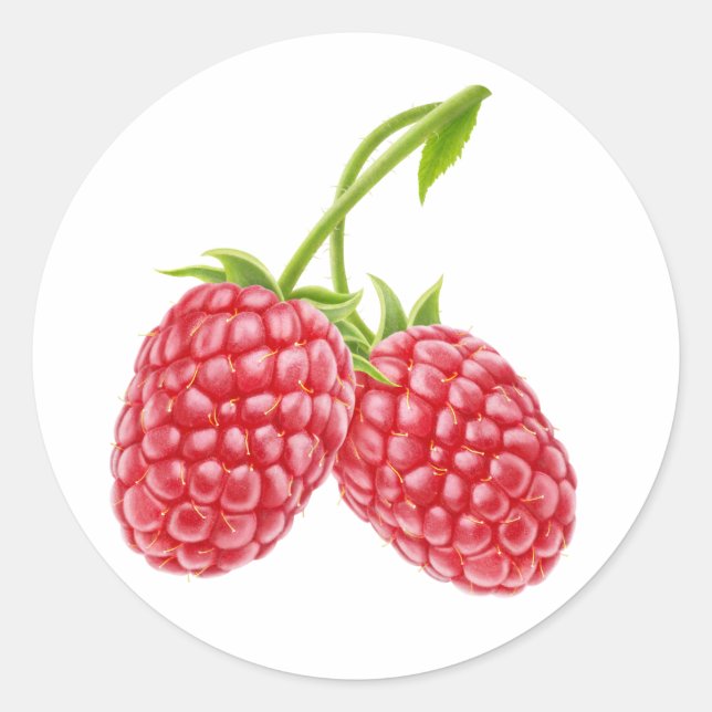 Two raspberries classic round sticker (Front)